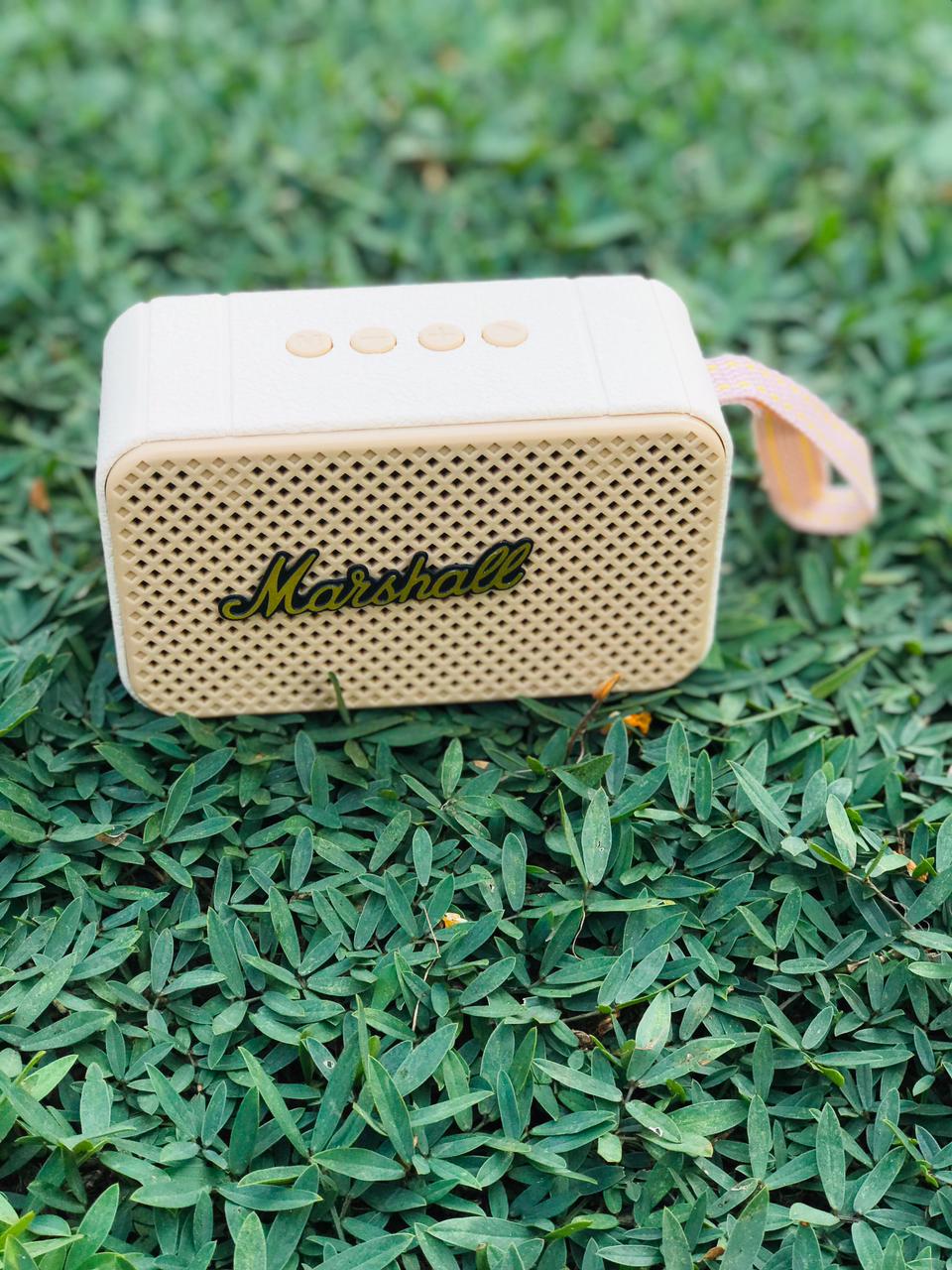 COMBO (Marshall Headphone ,Marshall Speaker )