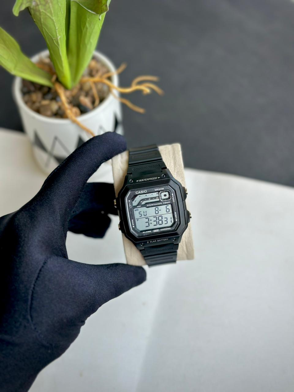 CASIO
